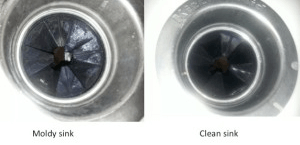 moldy sink before and after cleaning